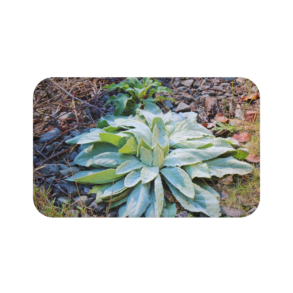Outdoor Garden Succulent Plant Decor Art product