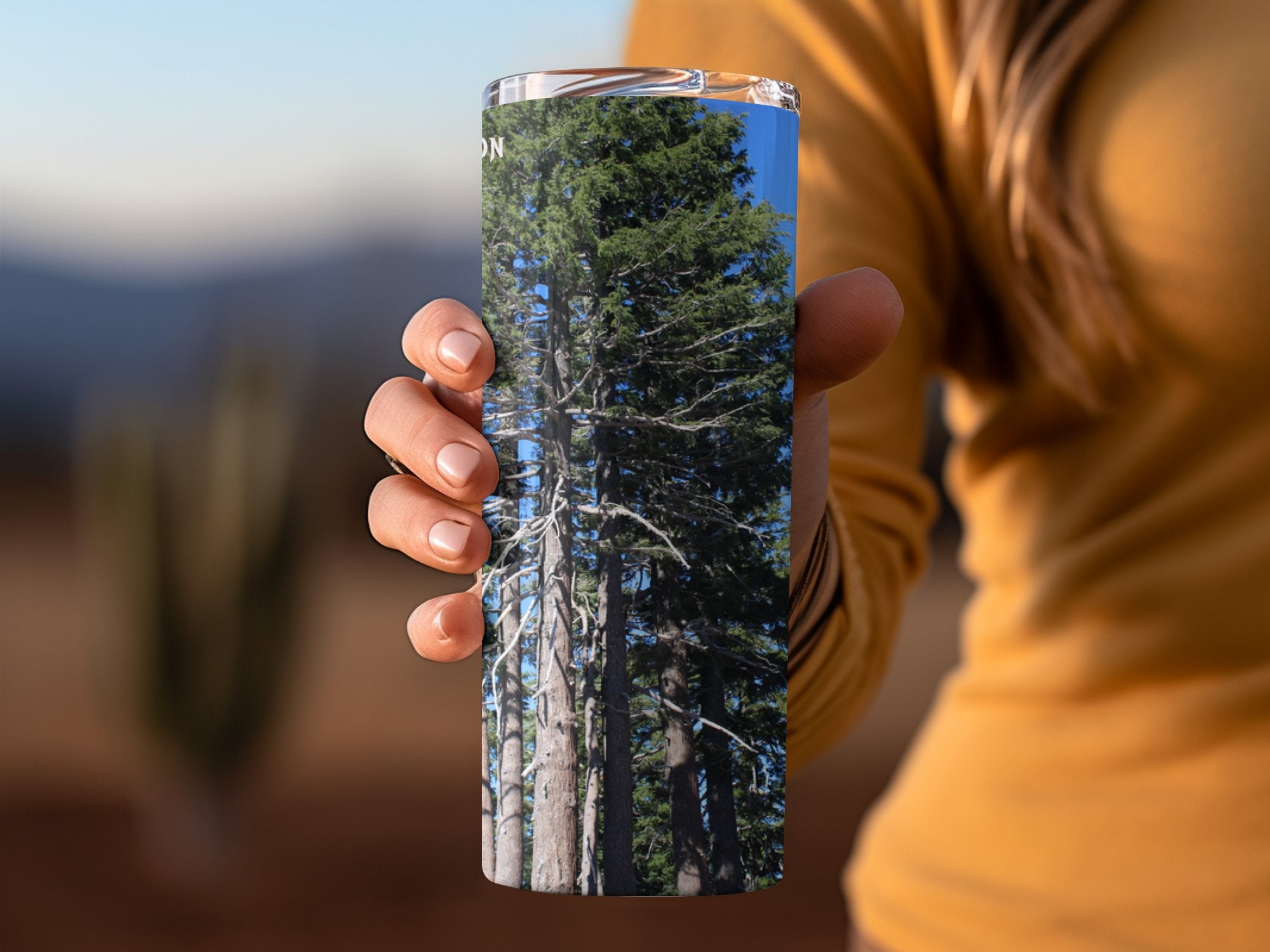 60b41e28-deda-4ccf-8f7d-e48e4e2f4836