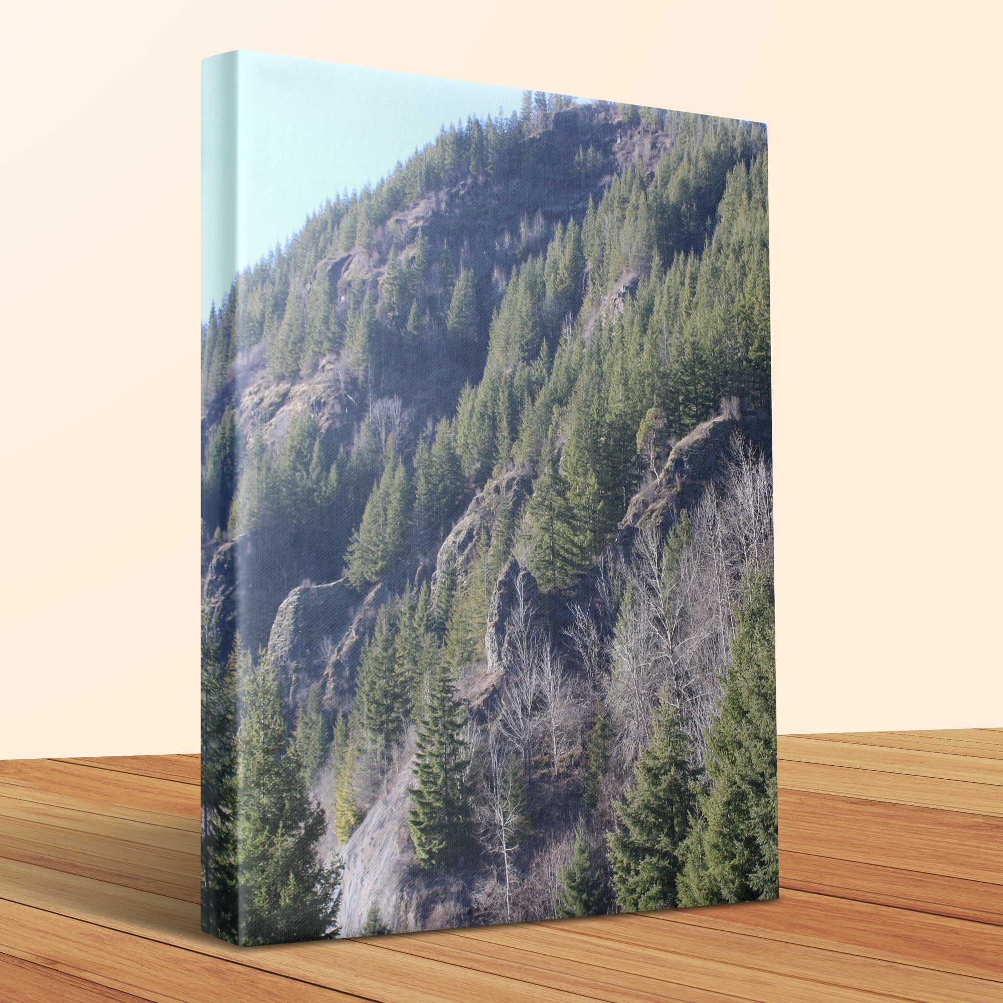 60bdec8f-02ad-42b4-9ef7-bbd2d984b221