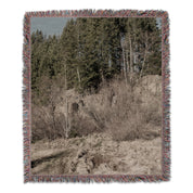 60c5aa7a-106d-410d-a900-a31de346c798