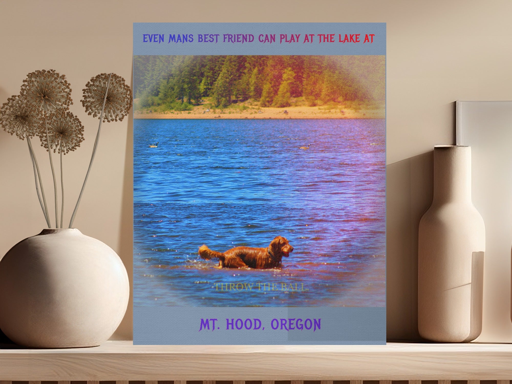 Even Mans Best Friend Can Play At The Lake product type