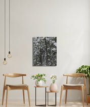 61c9a575-553c-42e2-a1f6-a1d24889eb5e