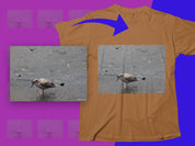 62232a49-19aa-4095-8634-0ca8e0fce1ce