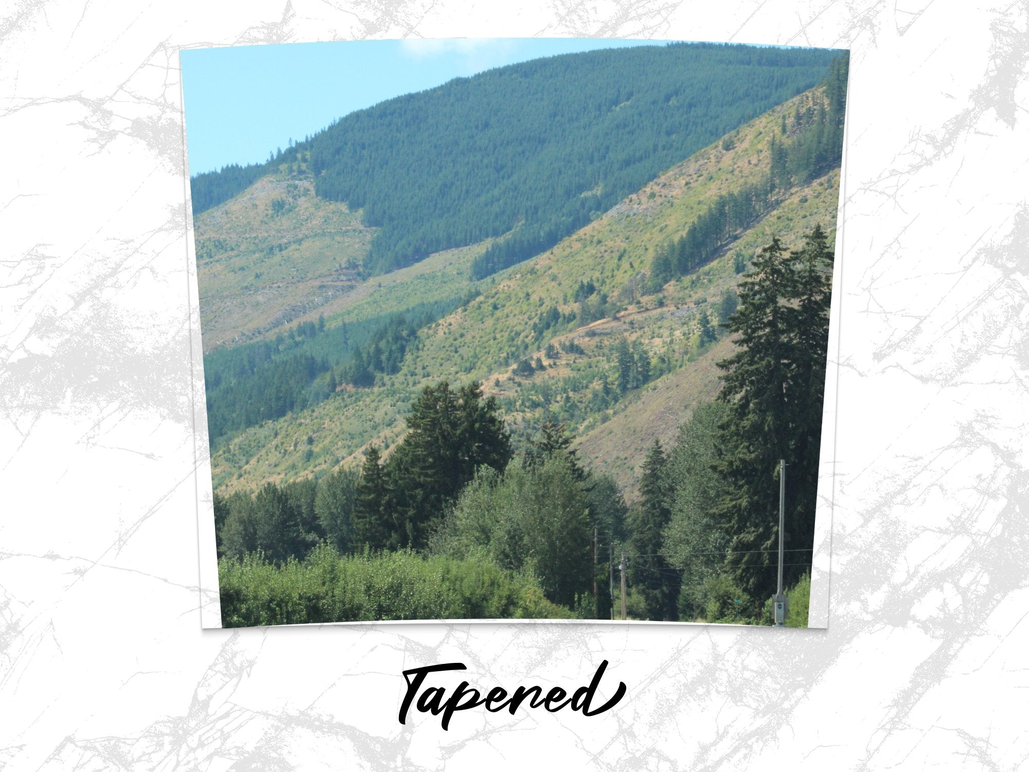 623d19dc-8b3f-4160-a656-e29b8a31d7b4