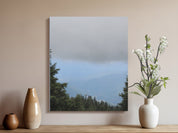 62b12069-a0fd-43fe-a1c9-fb4875cc5fa7