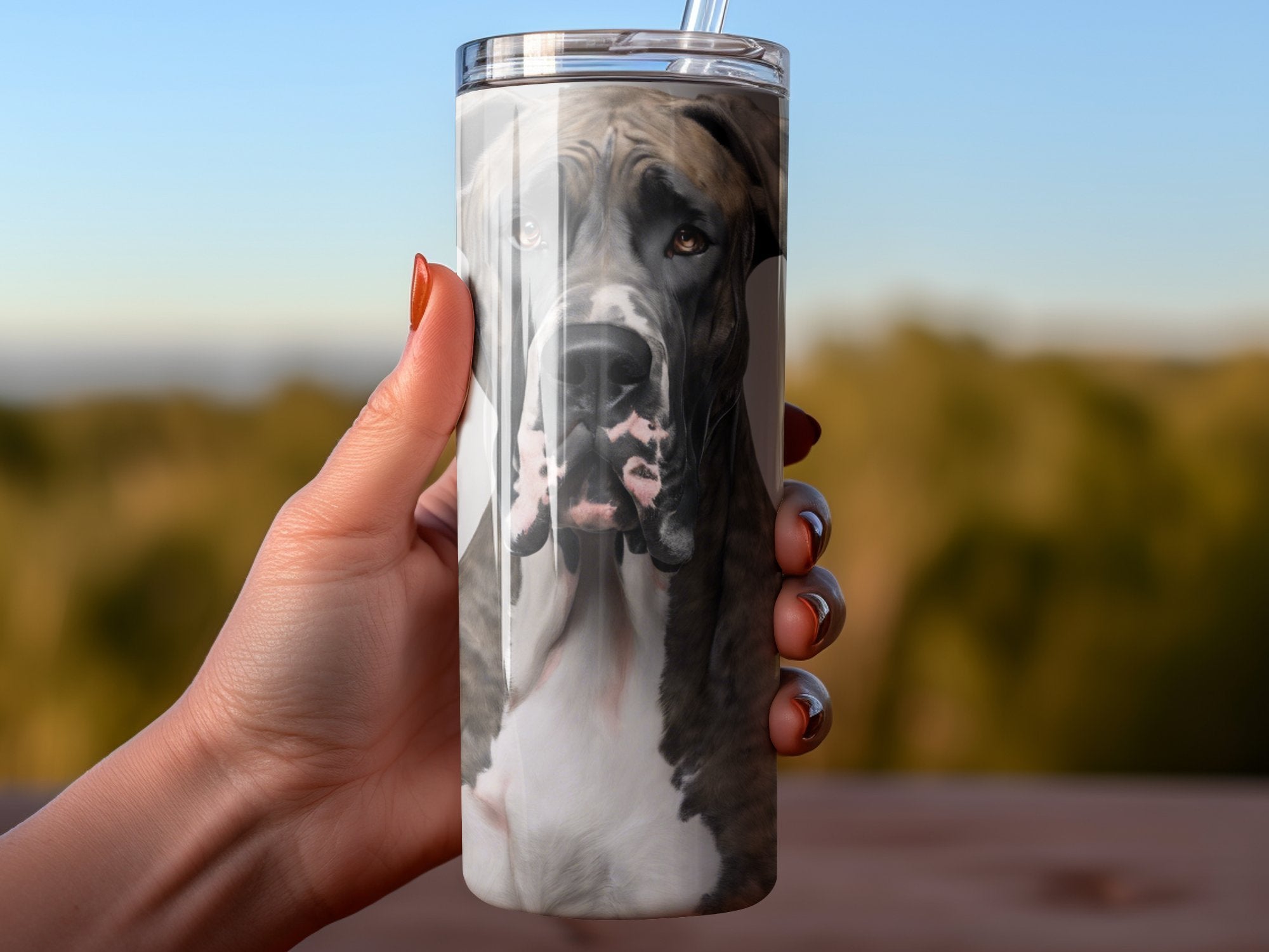 62d4a376-bfde-42c5-8719-0bc4ea2086ab