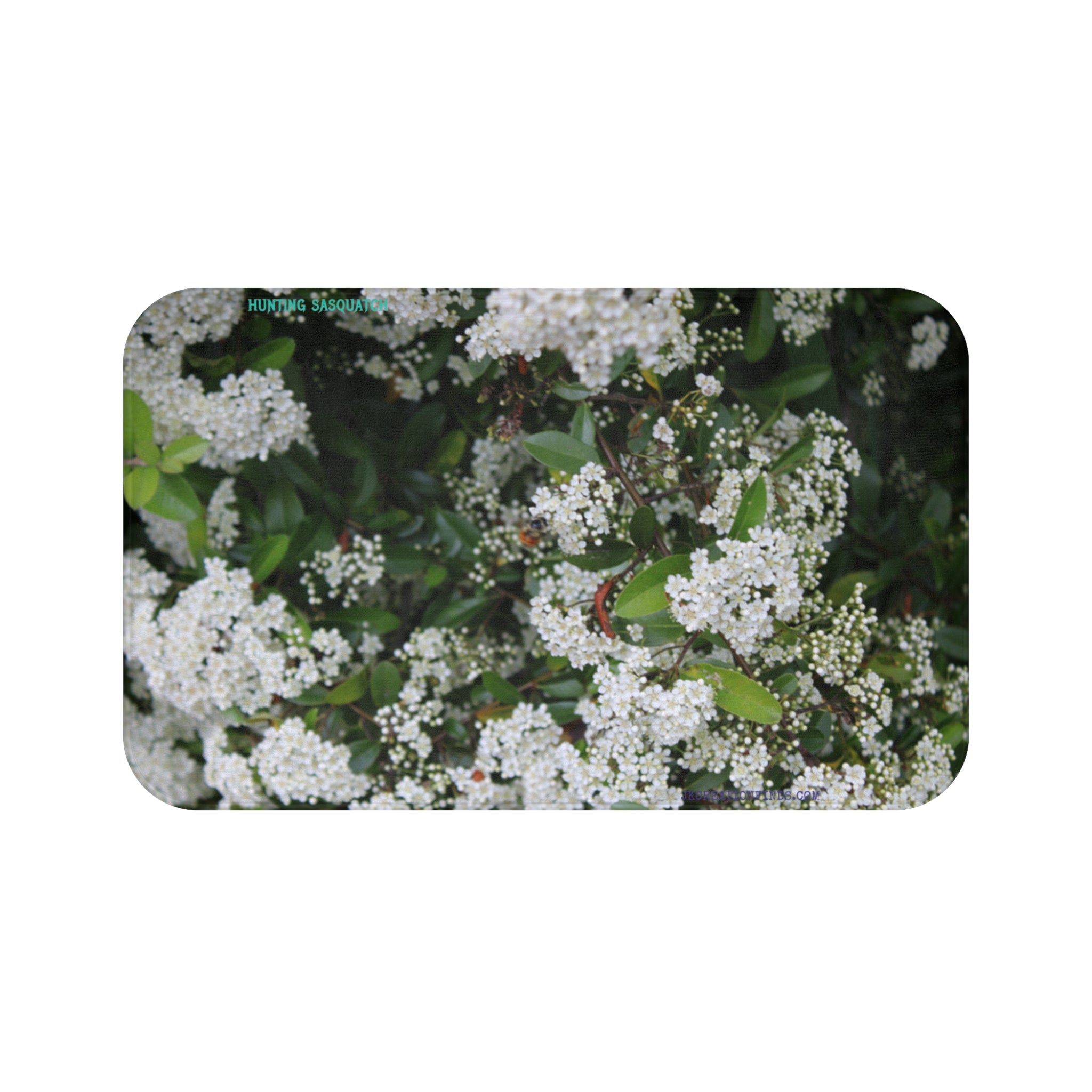 Beautiful Blooming White Flowers Scene product