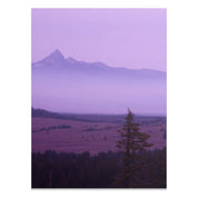 635dce83-8ada-40ea-8003-d077e9d81339