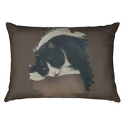 645173d2-2b1f-4777-a8f8-71a59745da7e