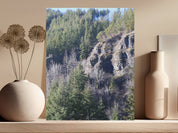 645d98bb-fd7a-4da3-8954-56b6e0ffd97d