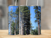 64d10ca8-17ed-4340-92bc-c6a9c710579e