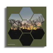 650ebe0b-695a-4105-b755-7e629d401df9