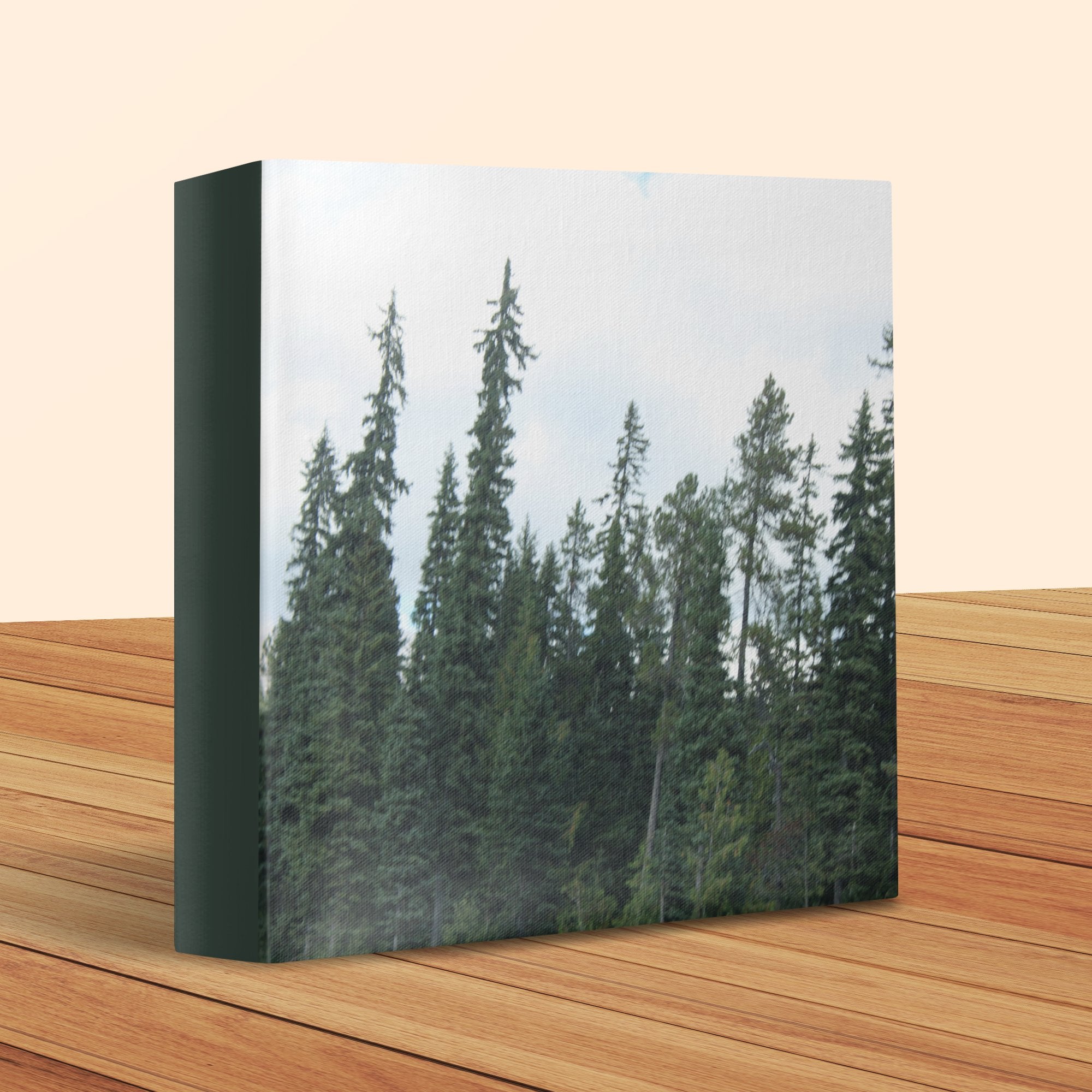 651b52a4-e775-414f-b332-c800c871c2dd