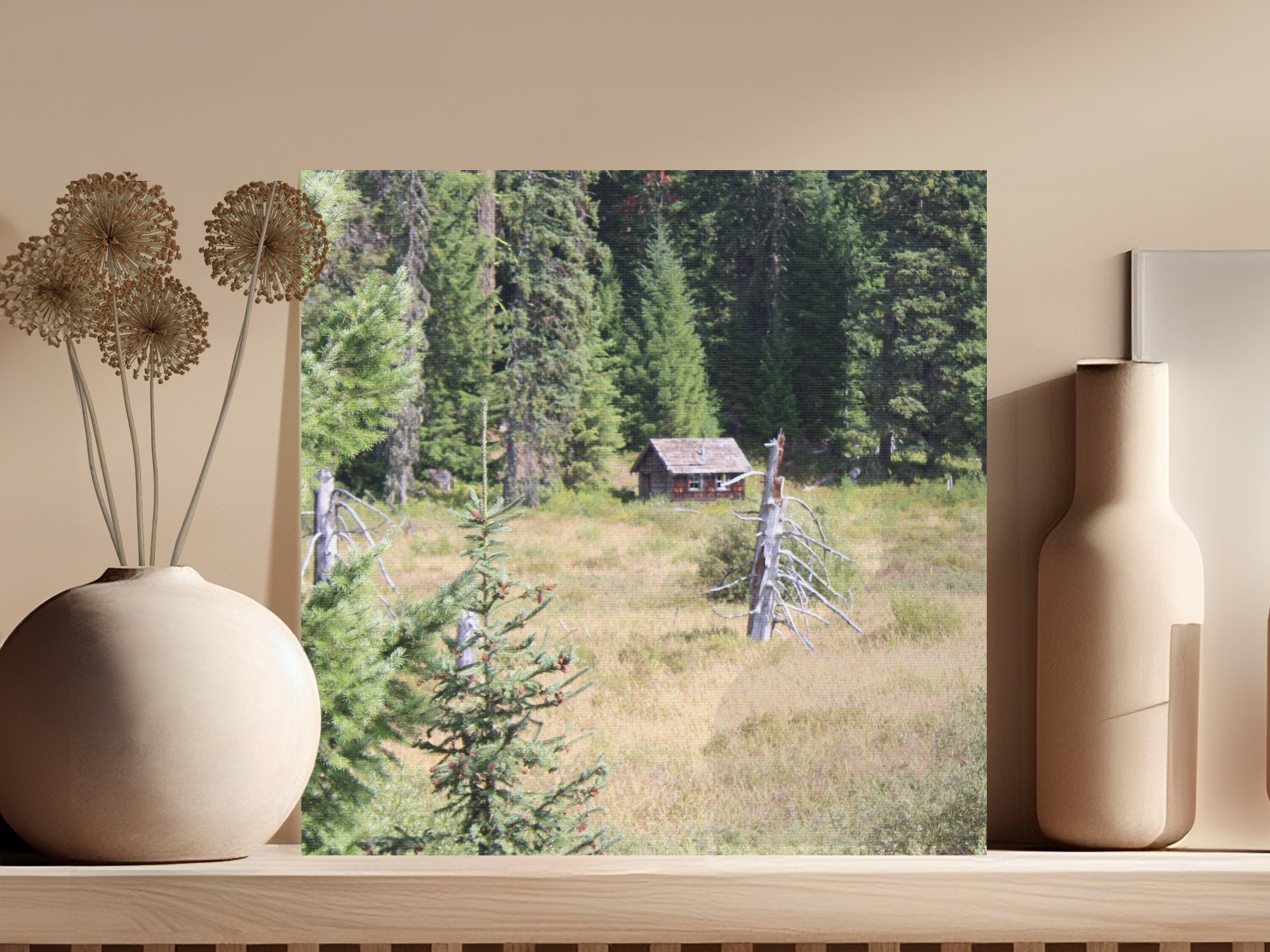 65c63b75-2b38-4d89-a8dc-5bead732ab69