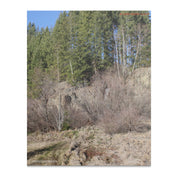 66269a0a-2b2b-4d02-a85a-127e4bf9bd0d