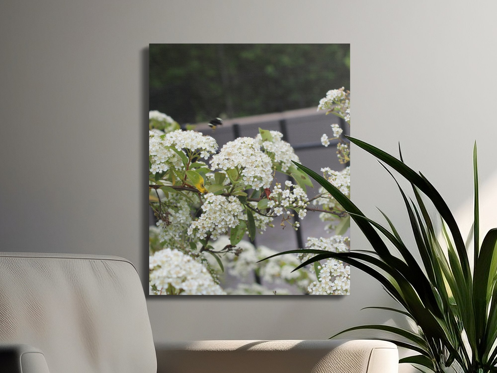 Beautiful White Flowers Canvas Wall Art product type