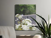 Beautiful White Flowers Modern Wall Art Canvas product