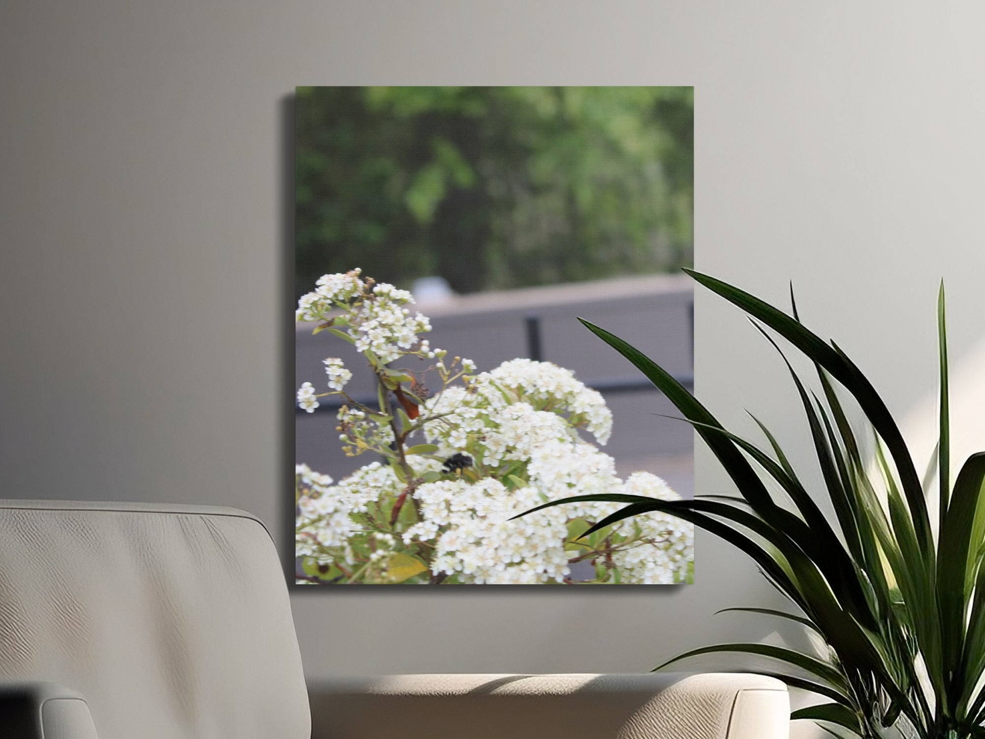 Beautiful White Flowers Modern Wall Art Canvas product