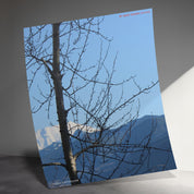 6818c433-980c-4199-b32b-77afb0a4163a