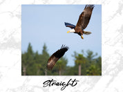 68c3f4ec-2672-4eb3-af35-88292d32f37a