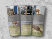 691170a8-fc82-4d13-8d55-2c632be9df80