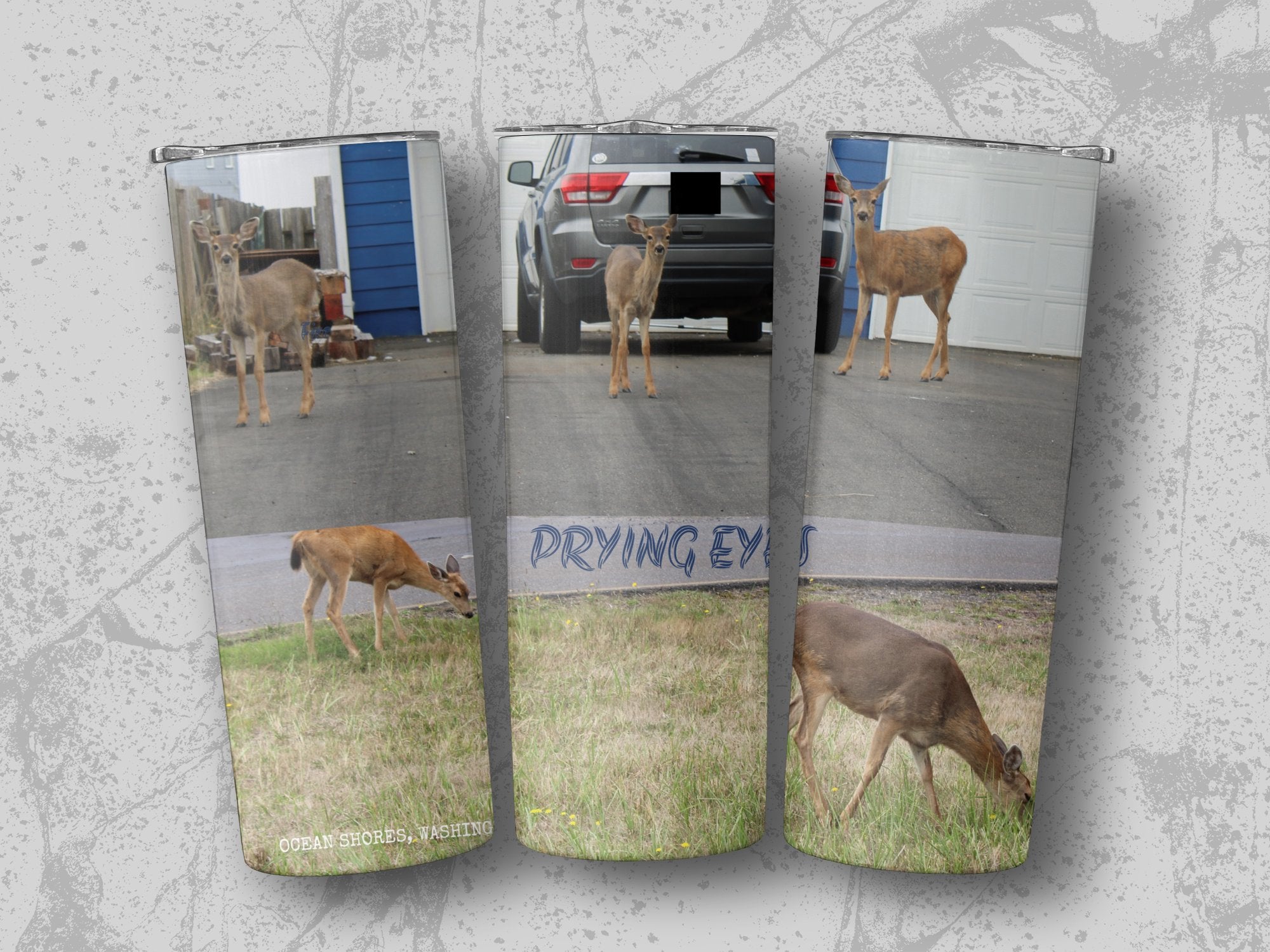 691170a8-fc82-4d13-8d55-2c632be9df80