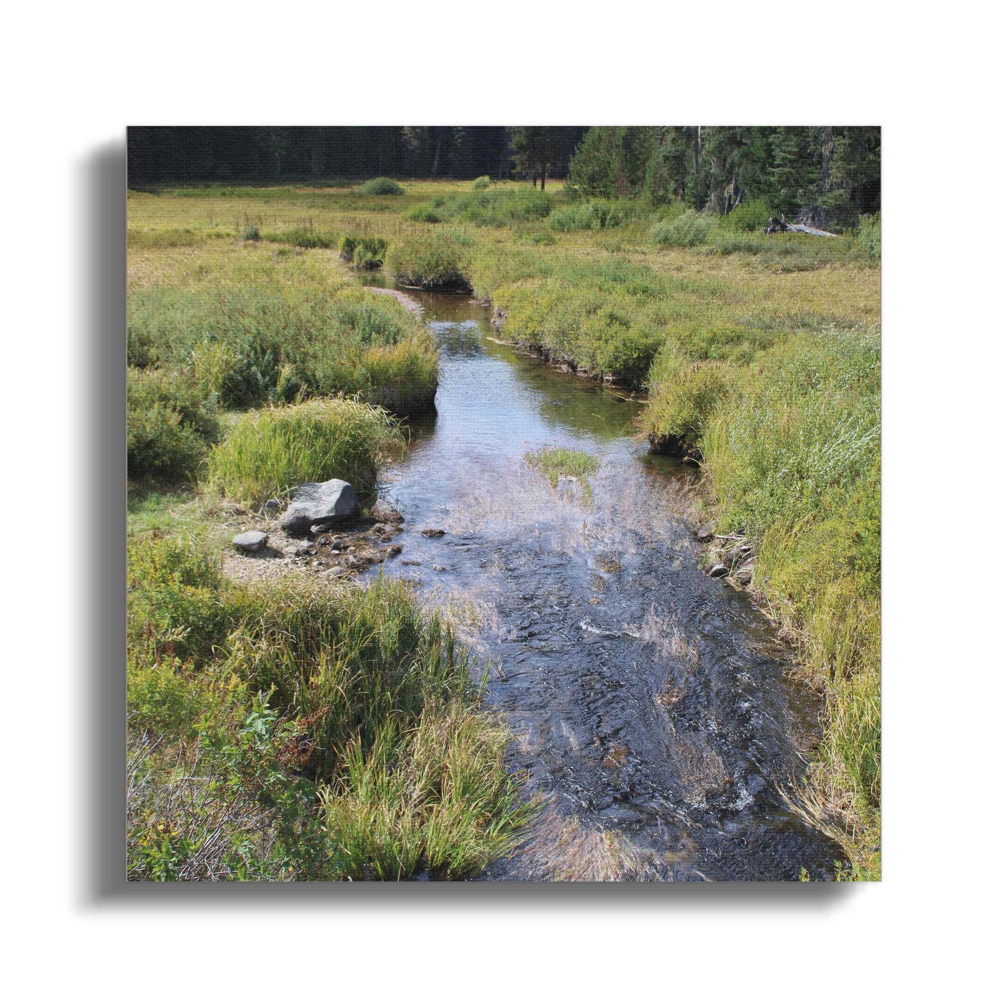 69231b7a-5d63-4a04-bab1-24b3362b9dbd