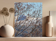 69d5939e-ad1f-4080-b0e8-eb6f25c53004