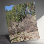 6a856bc8-4e7a-4a90-8aa1-02b5dee2fa8b