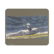 6a860b27-83de-4e15-ae43-3757b1672633