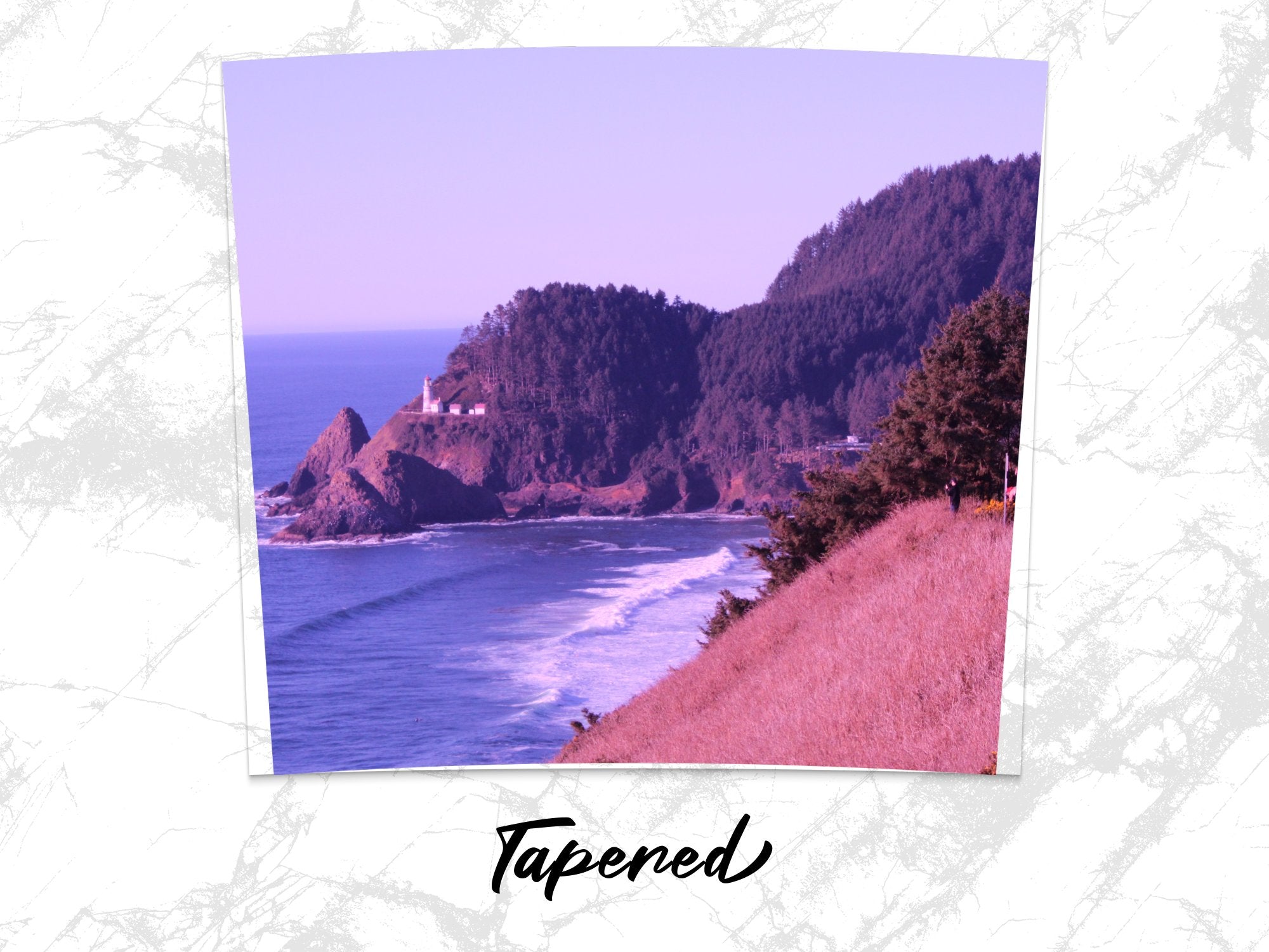 6b3c5bb6-1caa-4829-a18f-f8eb48a61a63