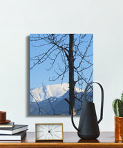 6bffaa0f-ff6a-44f8-9f1a-fec25fa64b03