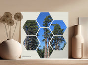 6c0a6dce-8926-42e3-aeee-1f3efa59d543