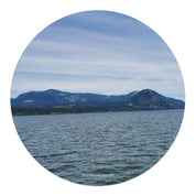 6cd2e0f9-2081-4b12-95b5-9f510dc12cf1