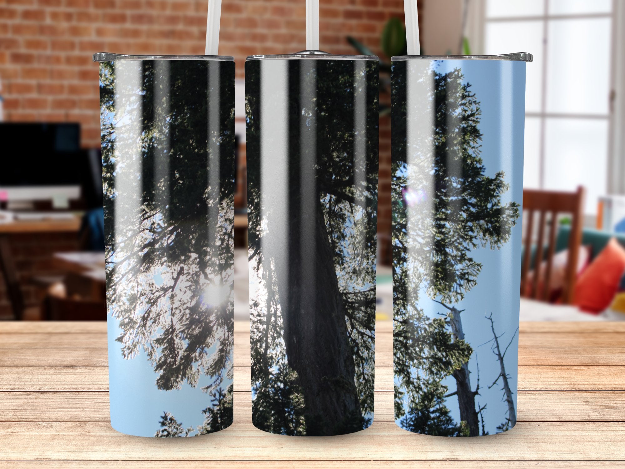 6cee3117-c7c7-4f40-aa8a-5d0b77bd527c