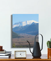 6cf9c42a-2262-4b46-95e6-3f38d5b1cf13