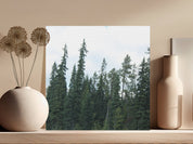 6d1ae749-20e8-4975-9a0f-898e30d35e52