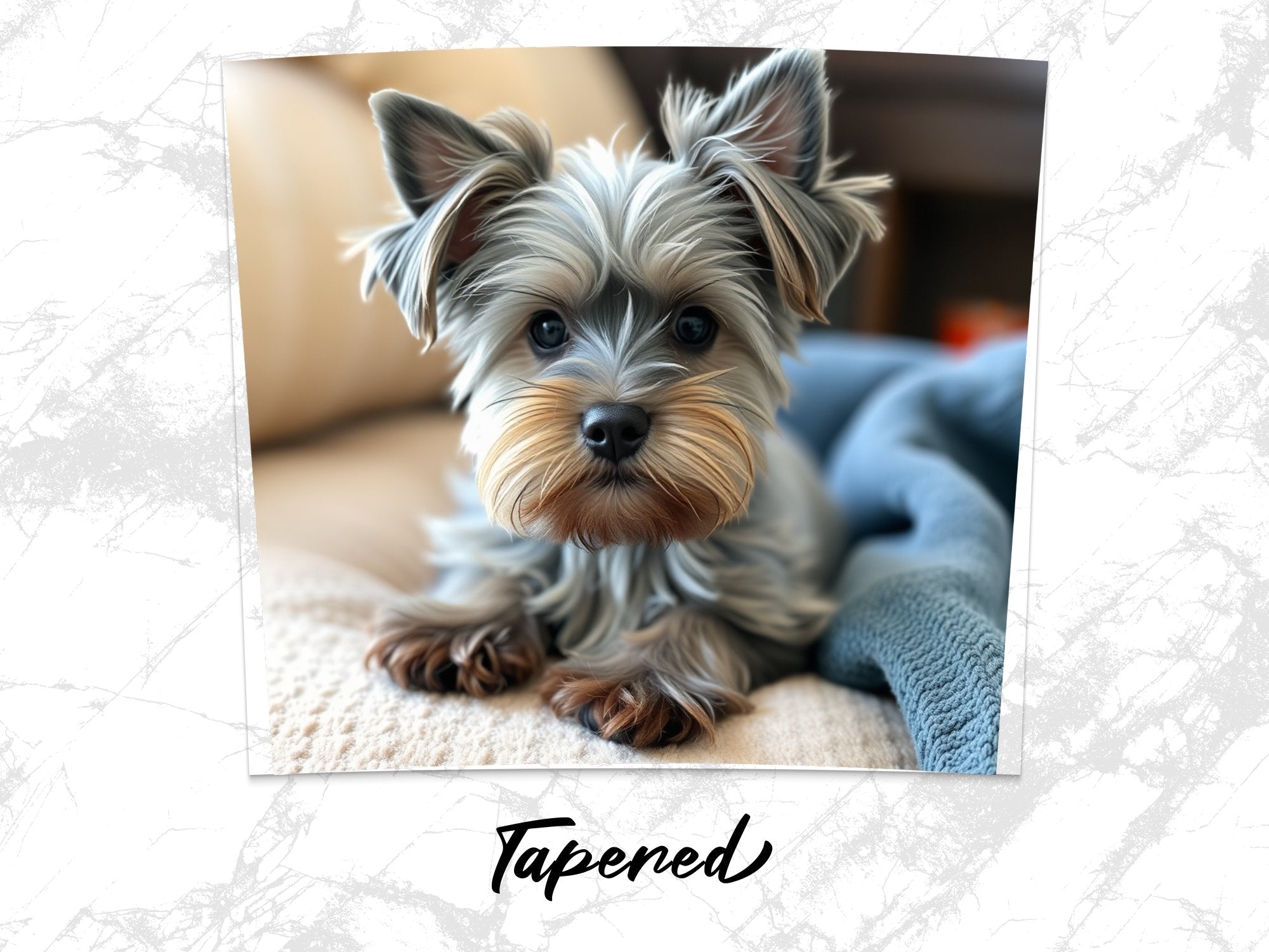 6d494569-f67f-492e-8614-1a7487ac06be