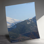 6dcd86f4-0ee7-4e96-afe1-62b5bb88cf28