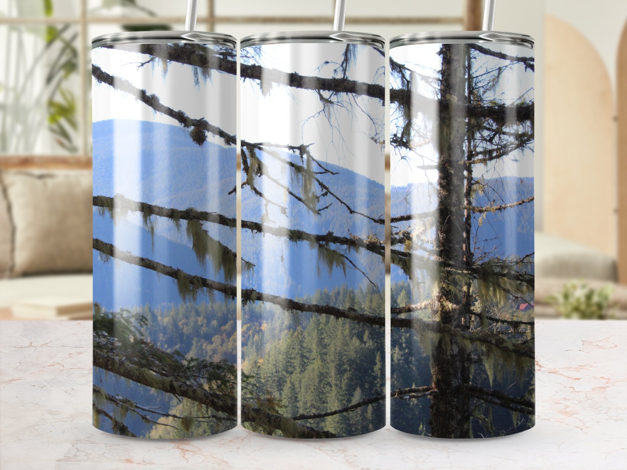 6e17297f-4c3d-46ce-a063-e918509c499f