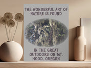 The Wonderful Art of Nature Found Poster product