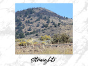 6e857f03-966d-449b-9342-fc0d7e34b22f