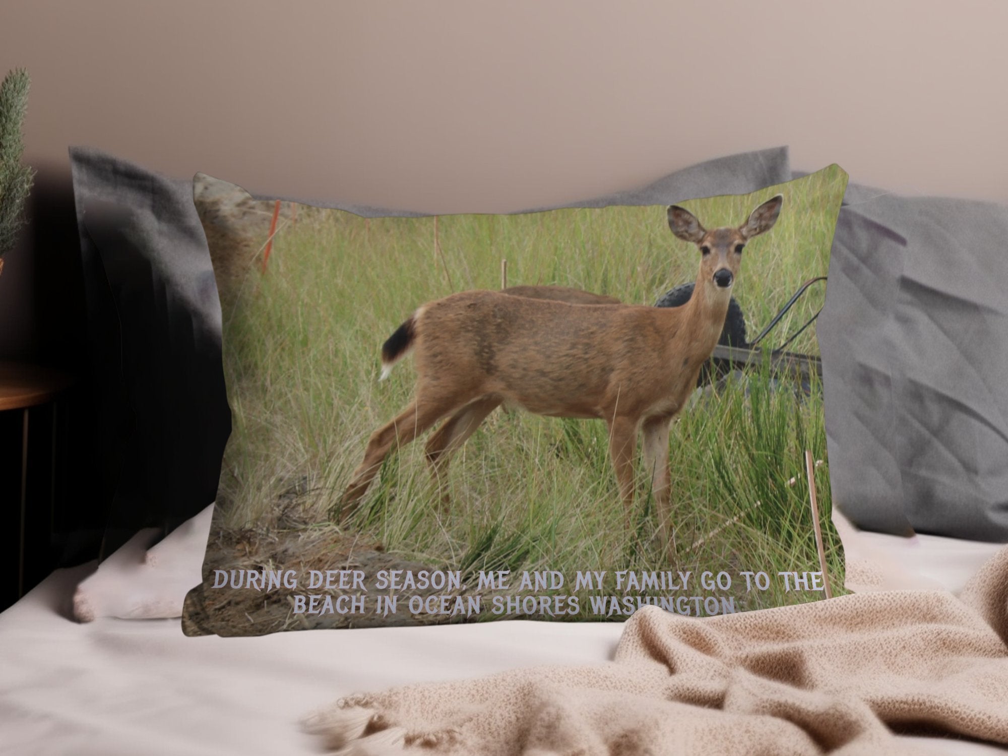 6ef35fc9-c231-4393-b717-e307f96d6a9e