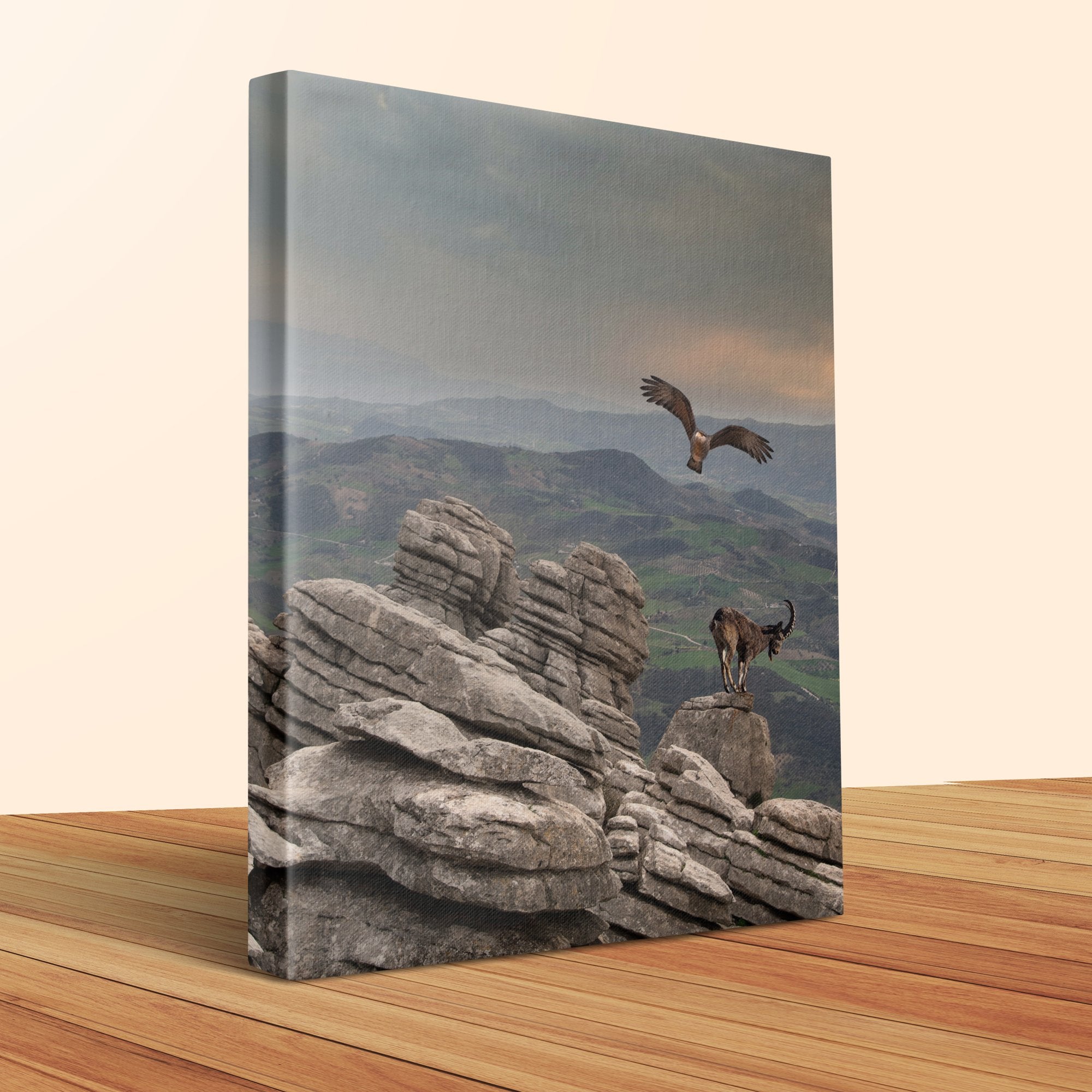 6f1f9b5c-5d5f-48e3-9f00-d9630ece416e