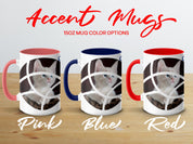 6f619136-38da-4e3e-a3bb-73d52b67cf46