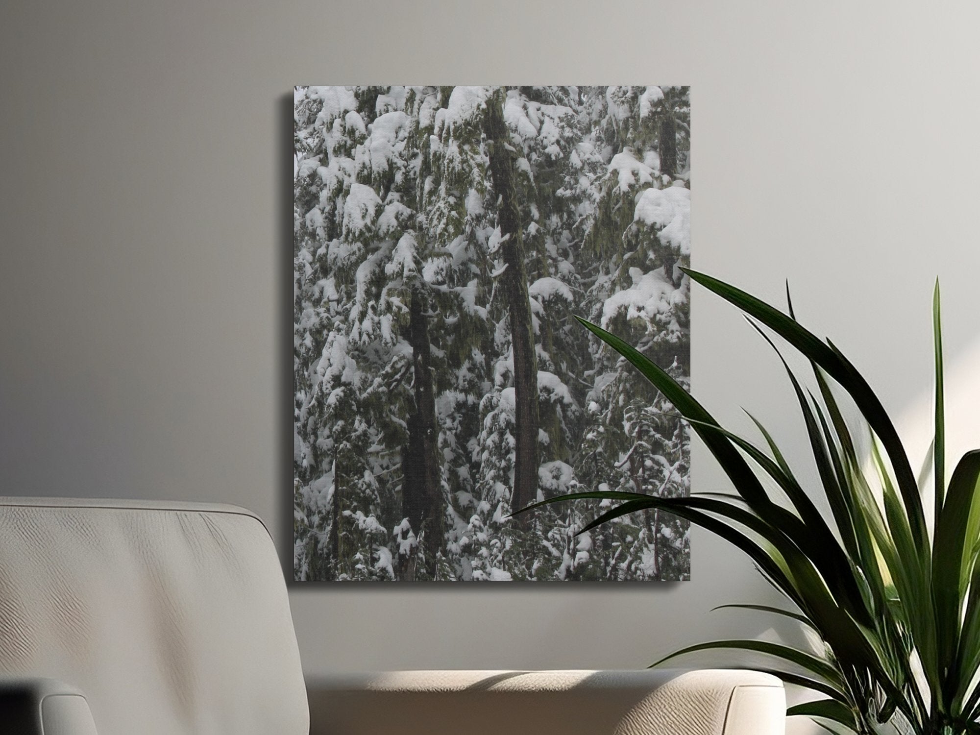 700da528-2f14-4b69-8610-9c850103566b