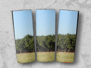 703131d0-0fb3-4461-9cfc-161ebb2d4846