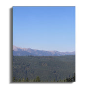 70ab72e9-cb02-4d01-8989-9f50a4ed920c