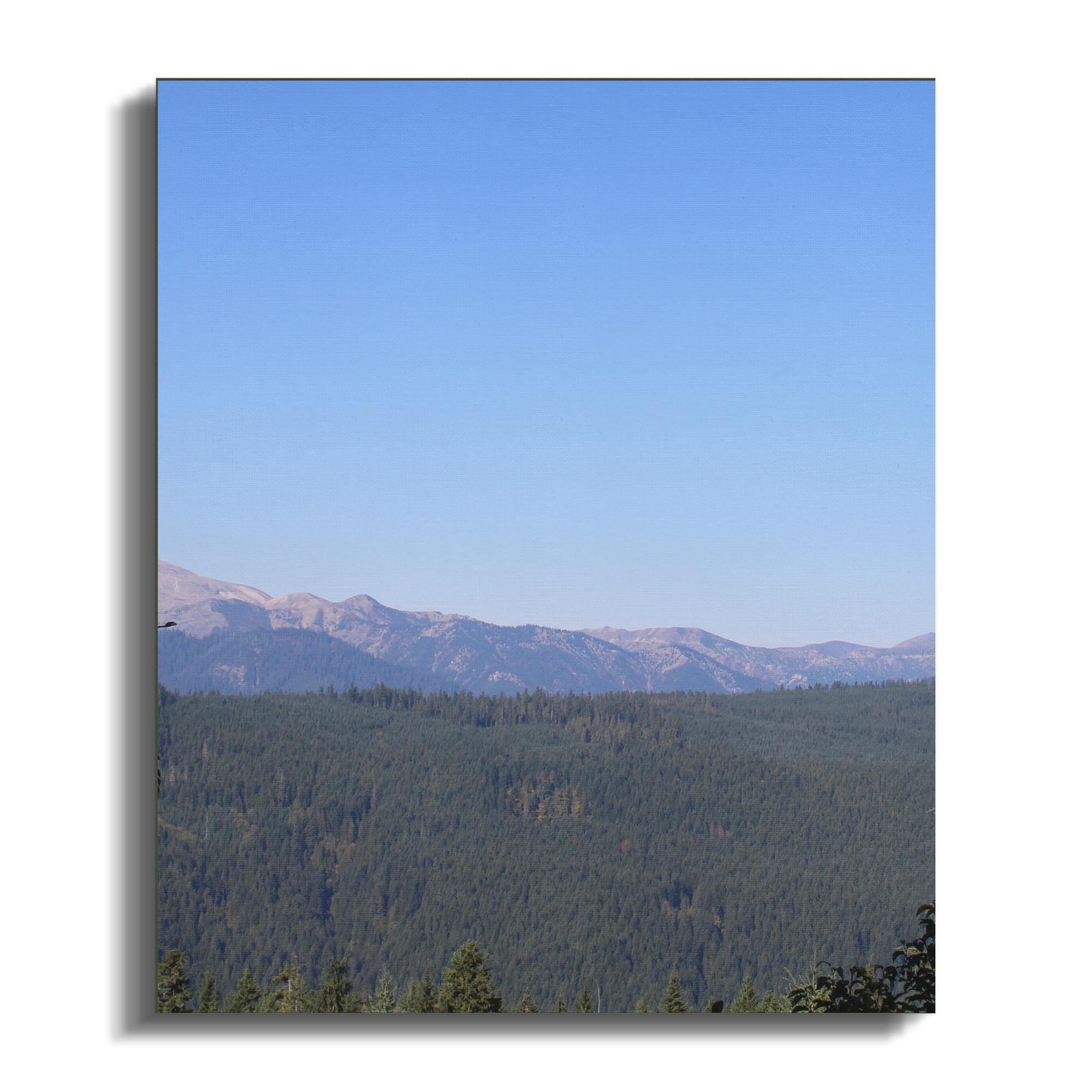 70ab72e9-cb02-4d01-8989-9f50a4ed920c