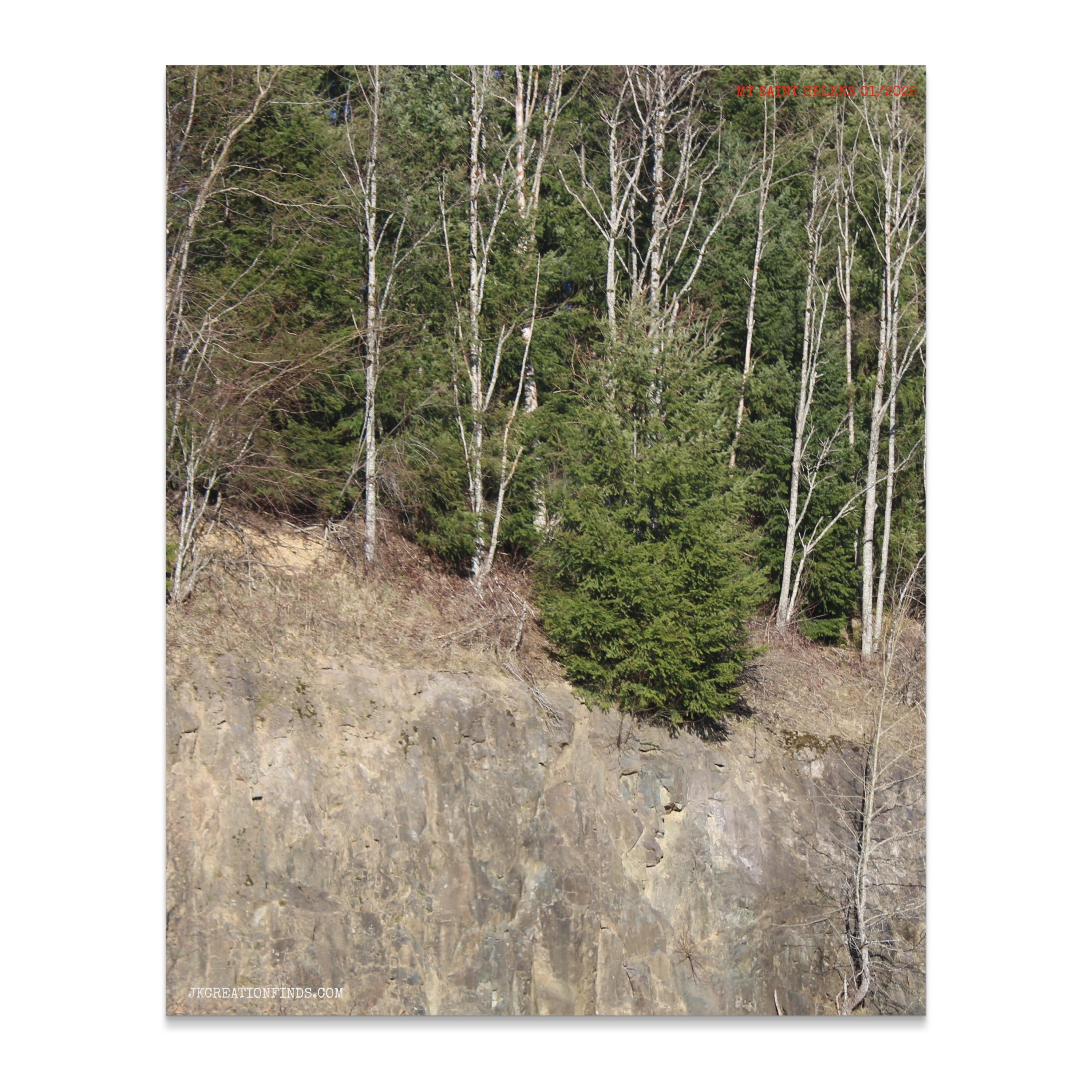 70be3fab-72f3-42c2-a3fd-fd04cff5602e